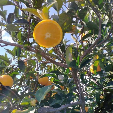 Laura 4* ジャルディーニ・ナクソス