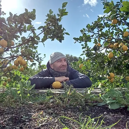 Laura ゲストハウス 4*