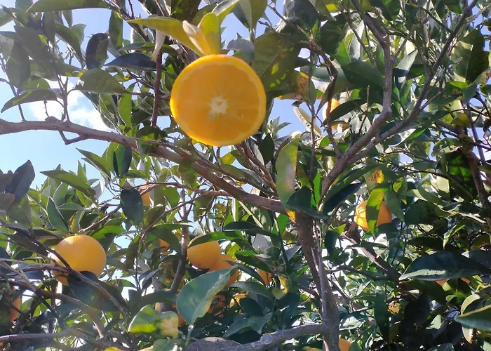 Laura 4* Giardini Naxos