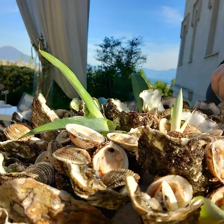 Laura Πανσιόν