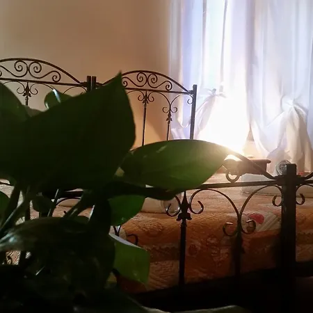 Laura Guest house 3*