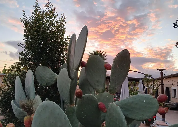 Laura 4* ジャルディーニ・ナクソス