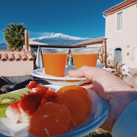 Laura 贾迪尼-纳克索斯