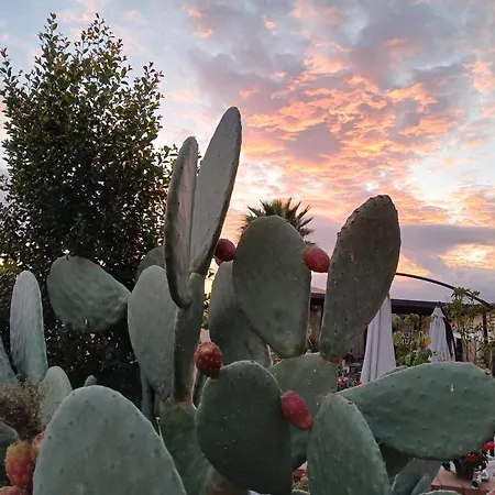 Laura 4* 贾迪尼-纳克索斯